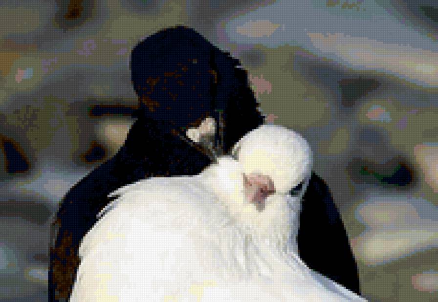 голубки - предпросмотр