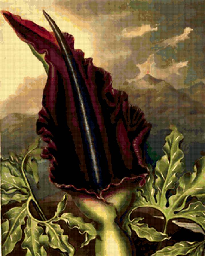 Гранвиль Жерар. - цветы, графика, шаржи. - предпросмотр