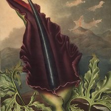 Схема вышивки «Гранвиль Жерар.»