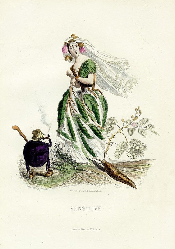 Жерар Гранвиль. - цветы, шаржи, графика, карикатура. - оригинал