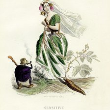 Схема вышивки «Жерар Гранвиль.»