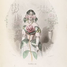 Схема вышивки «Жерар Гранвиль.»