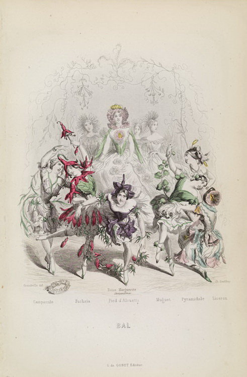 Жерар Гранвиль. - карикатура., шарж, графика, цветы - оригинал