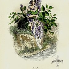 Схема вышивки «Жерар Гранвиль.»