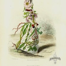 Схема вышивки «Жерар Гранвиль.»