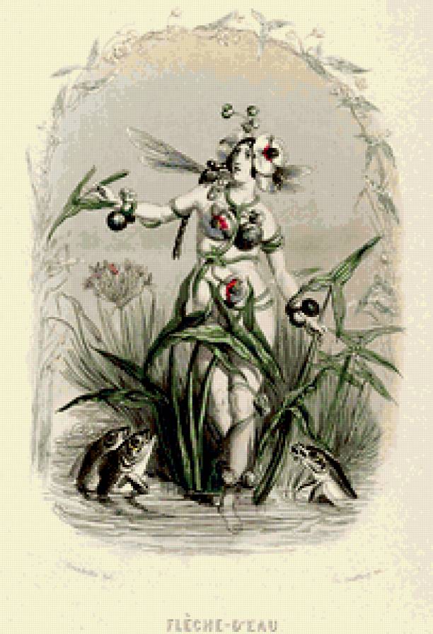 Жерар Гранвиль. - графика, карикатура., шарж, цветы - предпросмотр