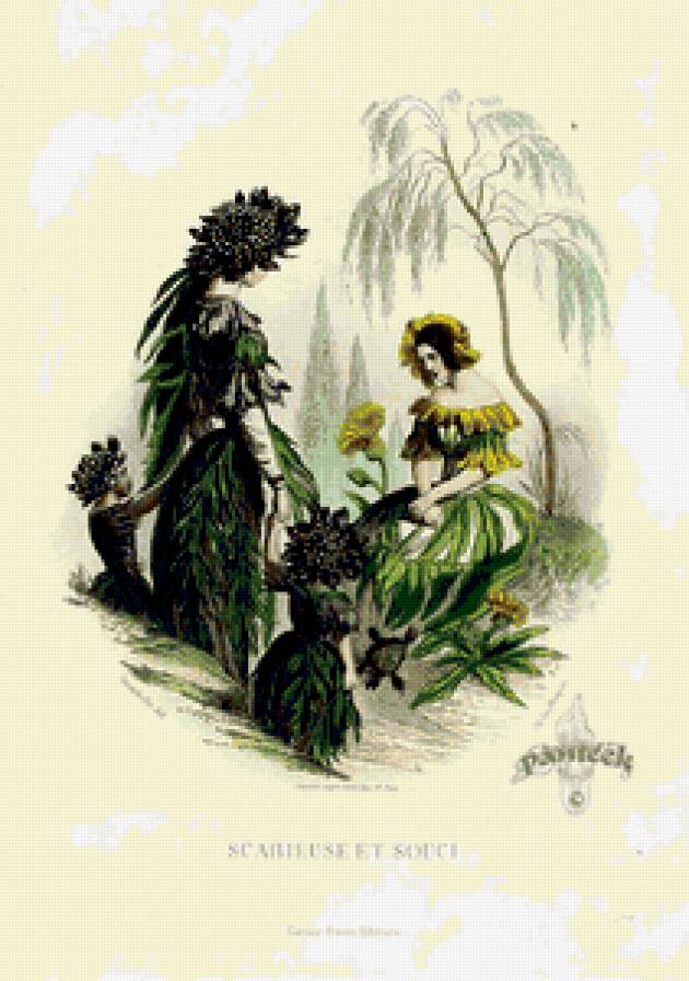 Жерар Гранвиль. - цветы, шарж, карикатура., графика - предпросмотр