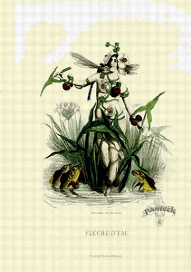 Жерар Гранвиль. - цветы, карикатура., шарж, графика - предпросмотр