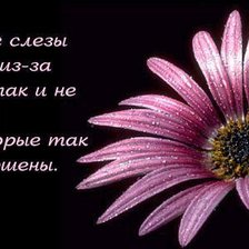 Схема вышивки «лиловый цветочек»