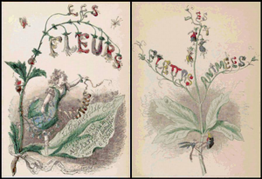 Жерар Гранвиль. - графика, шарж, цветы, карикатура, диптих. - предпросмотр