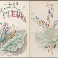 Схема вышивки «Жерар Гранвиль.»