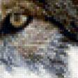 Предпросмотр схемы вышивки «волк» (№242102)