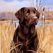 Схема вышивки «№242177»