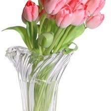 Схема вышивки «№242252»