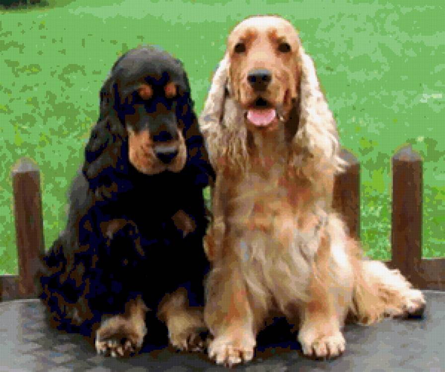 №242267 - предпросмотр