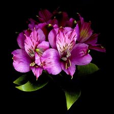 Схема вышивки «№242268»