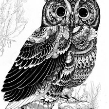 Схема вышивки «сова»