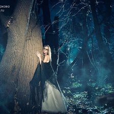 Схема вышивки «в лесу»