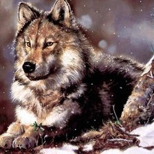 Схема вышивки «ВОЛК»