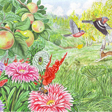 Схема вышивки «весна»