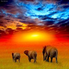 Схема вышивки «слоники»