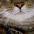 Предпросмотр схемы вышивки «Зимняя котляндия» (№242829)