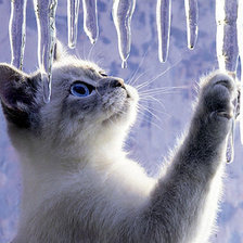 Схема вышивки «Зимняя котляндия»