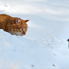 Схема вышивки «Зимняя котляндия»