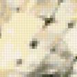 Предпросмотр схемы вышивки «№242877»
