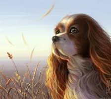 Схема вышивки «№242894»