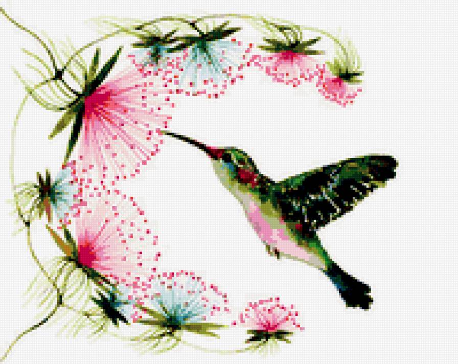 Колибри - птички, подушка, цветы - предпросмотр