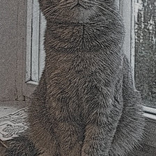 Схема вышивки «Котэ»