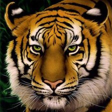 Схема вышивки «№243019»