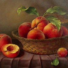 Схема вышивки «№243114»