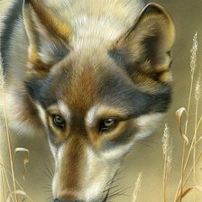 Схема вышивки «№243115»