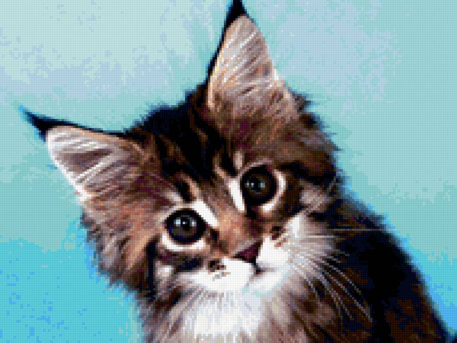 №243133 - предпросмотр