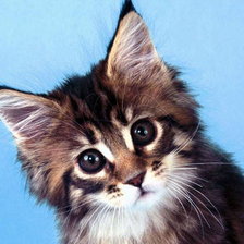 Схема вышивки «№243133»