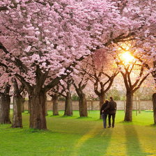 Схема вышивки «№243164»