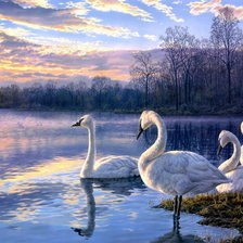 Схема вышивки «№243173»