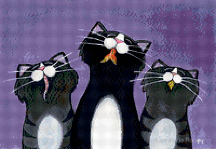 Коты - трио, кот, коты - предпросмотр