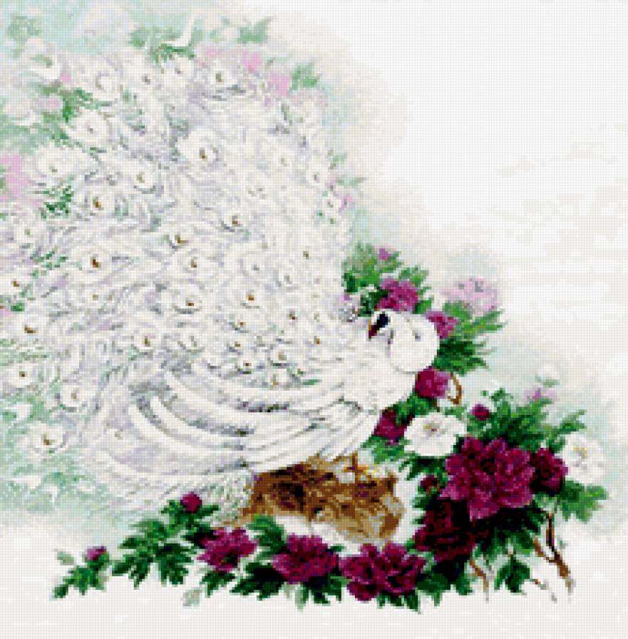 сад махараджи - сказка, сады, птицы - предпросмотр