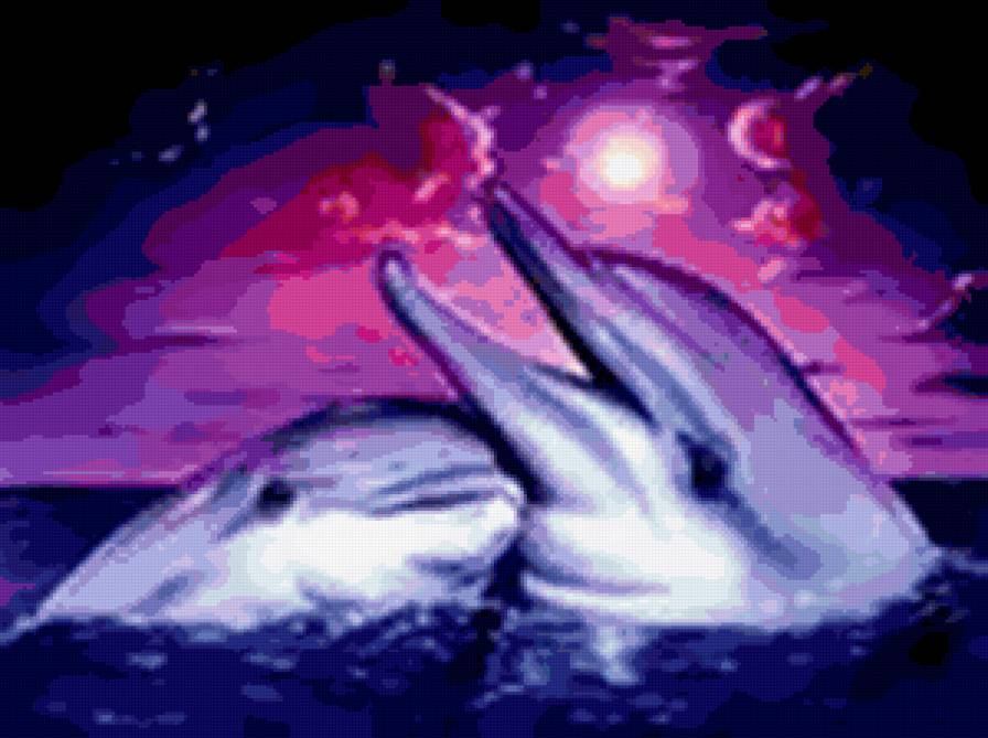 Дельфины. - дельфины, море - предпросмотр