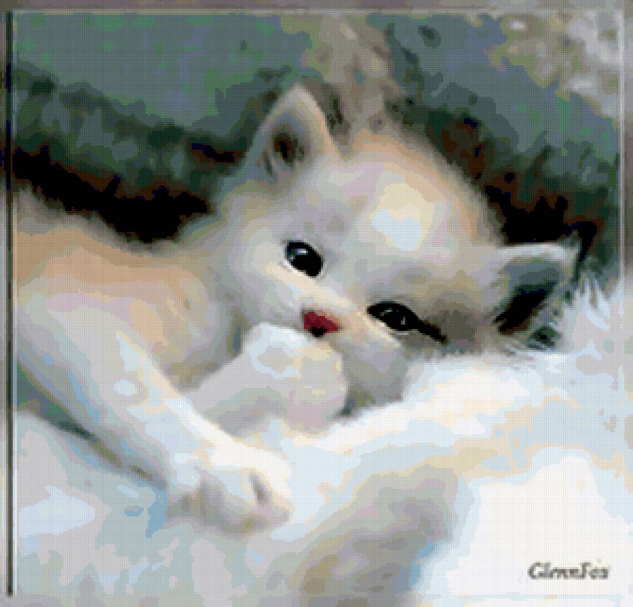 Котёнок. - животные, котята - предпросмотр