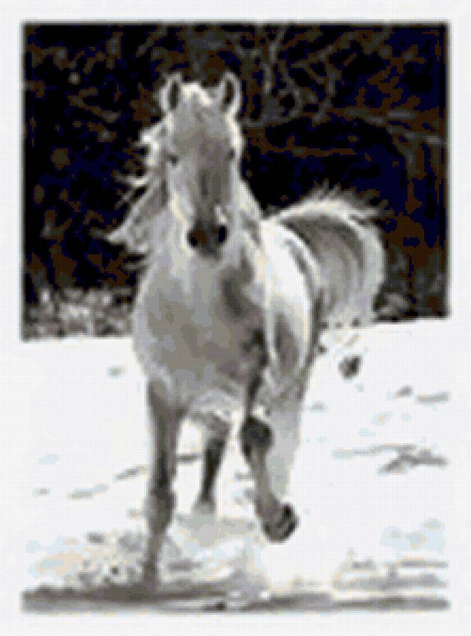 Лошадь. - животные, лошадь - предпросмотр