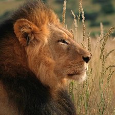 Схема вышивки «№243491»