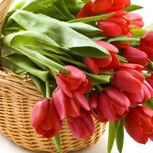 Схема вышивки «Тюльпаны.»