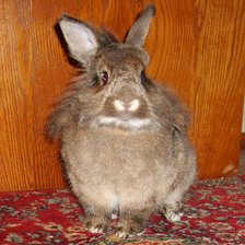 Схема вышивки «Кролик»