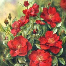 Схема вышивки «Куст шиповника»