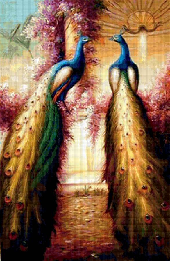 №243809 - предпросмотр