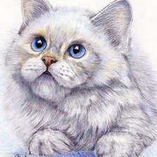 Схема вышивки «№244105»